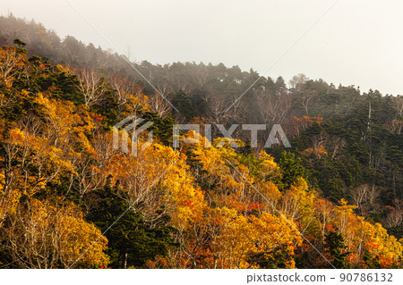 [Oku-Nikko, Tochigi Prefecture] Kinsei Pass during changing clothes From autumn to winter October 90786132