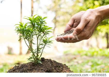 The young man's hands are planting young seedlings on fertile ground, taking care of growing plants. World environment day concept, protecting nature The young man's hands are planting young seedlings on fertile ground, taking care of growing plants. World environment day concept, protecting nature 90789885