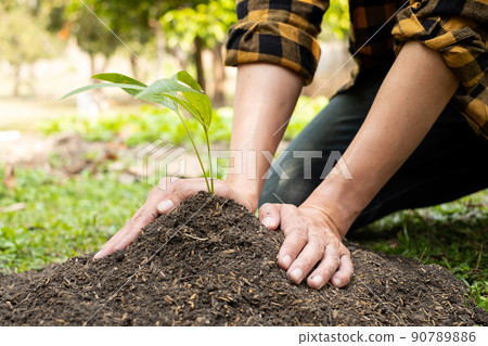 The young man's hands are planting young seedlings on fertile ground, taking care of growing plants. World environment day concept, protecting nature The young man's hands are planting young seedlings on fertile ground, taking care of growing plants. World environment day concept, protecting nature 90789886