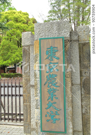 東京農業大學世田谷 東京農業大學世田谷 90789904