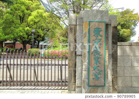 東京農業大學世田谷 東京農業大學世田谷 90789905