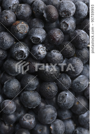 藍莓果實與水滴 藍莓果實與水滴 90789993