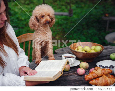 woman enjoying morning coffee in apple orchard with her pet poodle 90790352