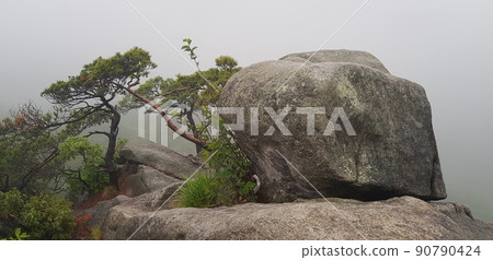Bukhansan Mountain, National Park, Bogukmun Gate, Kalbawi Rock, Trail, Green Bukhansan Mountain, National Park, Bogukmun Gate, Kalbawi Rock, Trail, Green 90790424