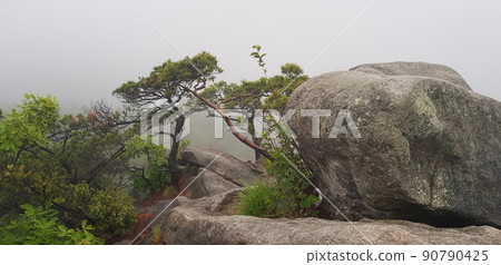 Bukhansan Mountain, National Park, Bogukmun Gate, Kalbawi Rock, Trail, Green 90790425