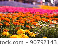 Flower field (orange, yellow) 90792143