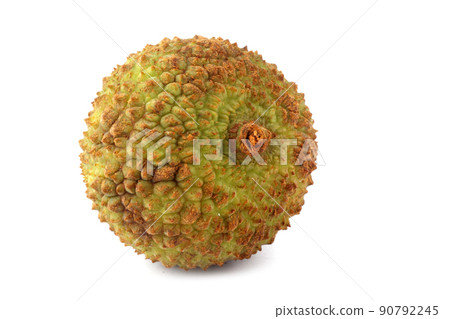Lychee Lychee 90792245