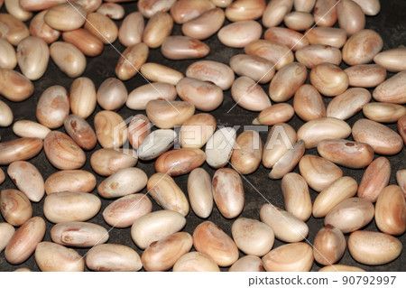 jackfruit seeds stock on shop for sell jackfruit seeds stock on shop for sell 90792997