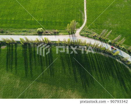 Aerial view on green wheat field in countryside. Field of wheat blowing in the wind on sunset. Young and green Spikelets. Ears of barley crop in nature. Agronomy, industry and food production. Aerial view on green wheat field in countryside. Field of wheat blowing in the wind on sunset. Young and green Spikelets. Ears of barley crop in nature. Agronomy, industry and food production. 90793342