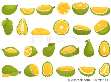 Jackfruit icons set cartoon vector. Vegan fruit. Tropical peeled 90794511