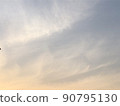 Sunset spider 90795130