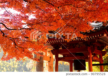 Autumn landscape autumn leaves Autumn landscape autumn leaves 90795528