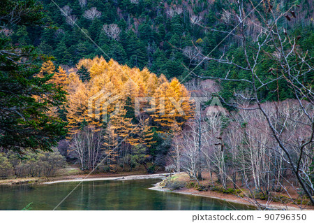 [Katashina Village, Gunma Prefecture] Suganuma in late autumn October 90796350