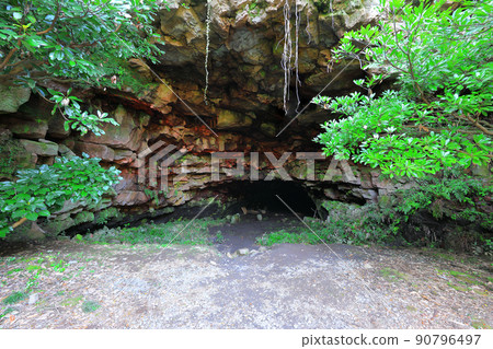 Jeju Seongeup Green Tea Field Natural Cave, Cave, Natural Cave, Summer, Jeju Seongeup Green Tea Field Natural Cave, Cave, Natural Cave, Summer, 90796497
