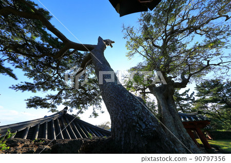 Jeju Seogwipo Daejeonghyanggyo, Daejeonghyanggyo, Hyanggyo, Ruins, Culture Jeju Seogwipo Daejeonghyanggyo, Daejeonghyanggyo, Hyanggyo, Ruins, Culture 90797356