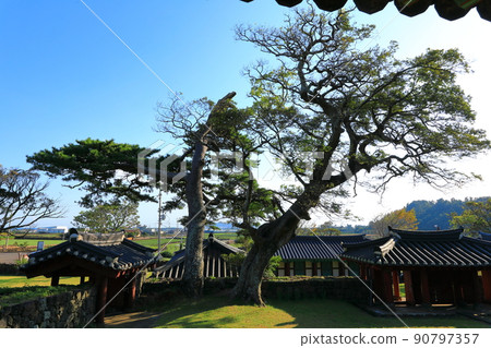 Jeju Seogwipo Daejeonghyanggyo, Daejeonghyanggyo, Hyanggyo, Ruins, Culture Jeju Seogwipo Daejeonghyanggyo, Daejeonghyanggyo, Hyanggyo, Ruins, Culture 90797357