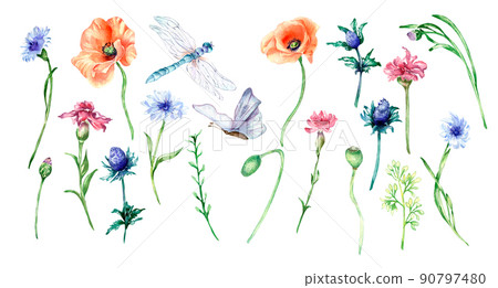 Set of meadow flowers, butterfly, dragonfly watercolor illustration isolated 90797480