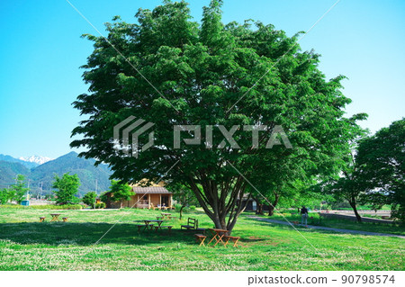 Spring Azumino Chihiro Park Trees and shaded tables and benches Spring Azumino Chihiro Park Trees and shaded tables and benches 90798574
