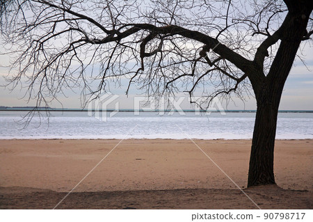 the lone tree and the iced sea the lone tree and the iced sea 90798717