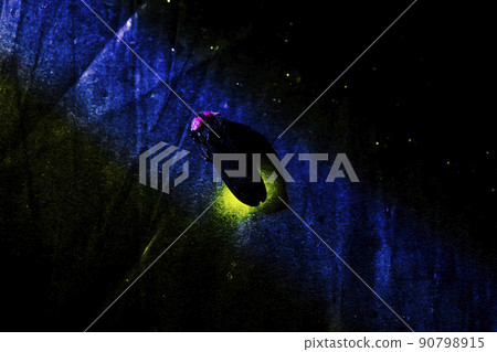 源氏螢火蟲 90798915