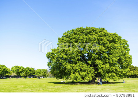 Landscape with green and blue sky 90798991