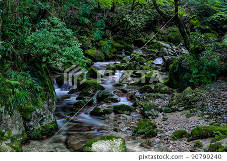 【山口縣岩國市】中國西部山脈國家紀念物第三溪谷若知峽 【山口縣岩國市】中國西部山脈國家紀念物第三溪谷若知峽 90799240