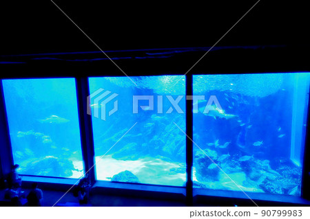 Aquarium 90799983