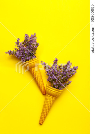 Bouquet of lavender in the ice cream cone Bouquet of lavender in the ice cream cone 90800099