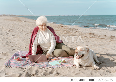Serene elderly lady with her pet on the beach 90800280