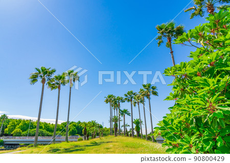 Arakogawa Park, Phoenix Island <Nagoya City, Aichi Prefecture> Arakogawa Park, Phoenix Island <Nagoya City, Aichi Prefecture> 90800429