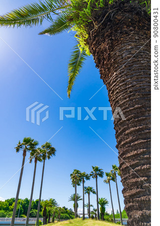鳳凰島荒古川公園<愛知縣名古屋市> 鳳凰島荒古川公園<愛知縣名古屋市> 90800431