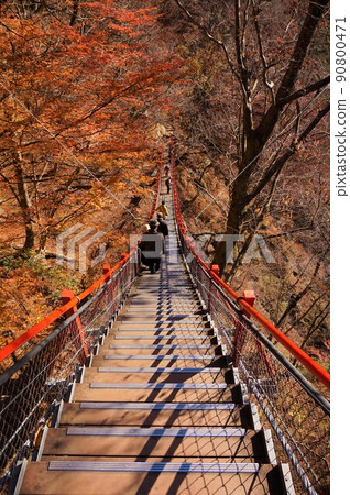 Kesakake橋，小中大瀧，秋葉 90800471