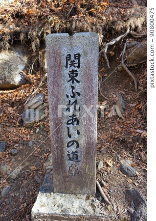 Kanto Fureai no Michi Kesakake Bridge, Konaka Otaki, Autumn Leaves 90800475