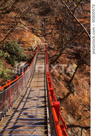 Kesakake橋，小中大瀧，秋葉 90800478