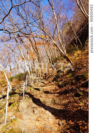 Kesakake橋，小中大瀧，秋葉 90800483