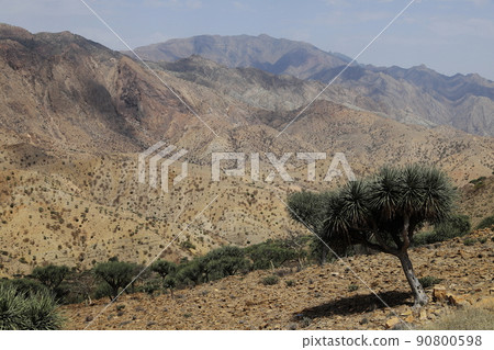 Afar 90800598