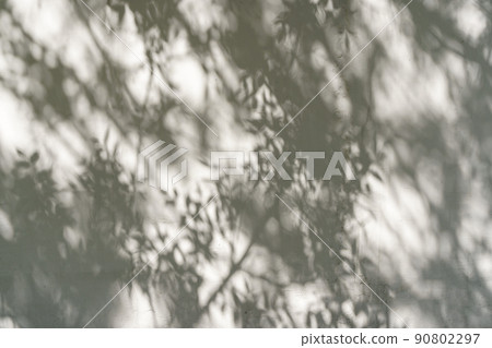 Shadows from tree leaves and plants on a white wall in sunlight day. Shadow overlay effect for photo Shadows from tree leaves and plants on a white wall in sunlight day. Shadow overlay effect for photo 90802297