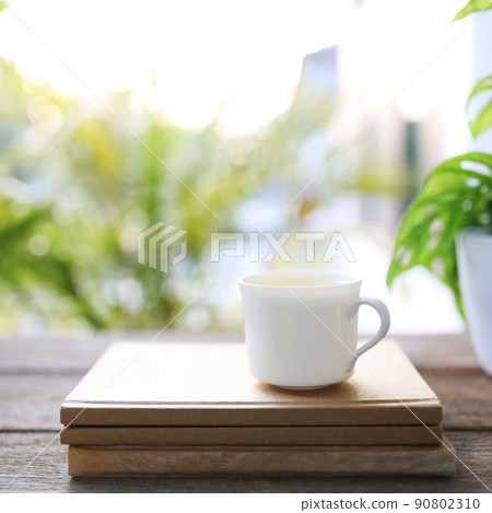 Tea cup and brown kraft notebooks and Window Monstera obliqua leaf plant 90802310