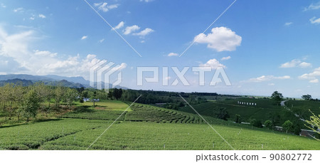 Chiangrai, Thailand - June 6,2019 Chiangrai, Thailand - June 6,2019 90802772