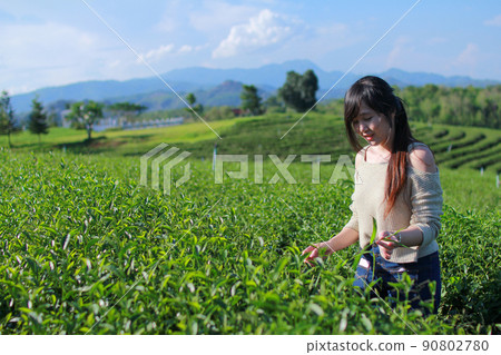 Young woman stand in the tea plantation surrounded by sky and mountain view.  Choui Fong tea plantation at Chiangrai, Thailand. 90802780