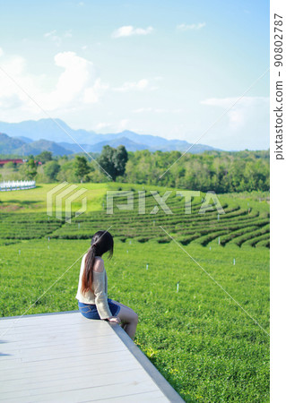Back view of young woman looking too Choui Fong tea plantation. - Chiang Rai Thailand. Back view of young woman looking too Choui Fong tea plantation. - Chiang Rai Thailand. 90802787