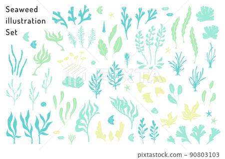 Illustration set of seaweed and sea creatures 90803103