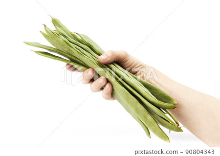 Hand of a woman holding a bunch of green beans Hand of a woman holding a bunch of green beans 90804343