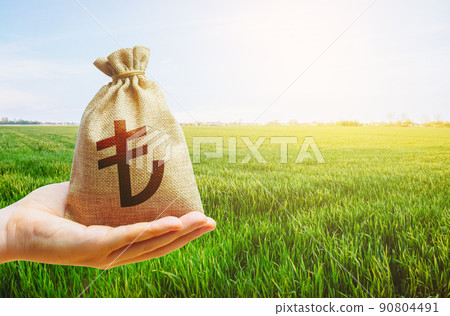 Young green wheat field and offered turkish lira money bag. World food security crisis, high prices. World hunger. Grains and cereals deficits. Starvation and famine. Agricultural business. Young green wheat field and offered turkish lira money bag. World food security crisis, high prices. World hunger. Grains and cereals deficits. Starvation and famine. Agricultural business. 90804491