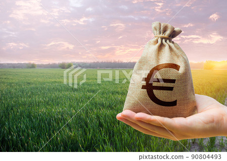 Green meadow field of young wheat and euro money bag. World food security crisis, high prices. World hunger. Grains cereals deficits. Starvation, famine. Agroindustry and the agricultural business. Green meadow field of young wheat and euro money bag. World food security crisis, high prices. World hunger. Grains cereals deficits. Starvation, famine. Agroindustry and the agricultural business. 90804493