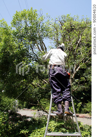 Landscaping craftsman pruning Landscaping craftsman pruning 90804610