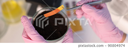 Scientist chemist checking soil acidity using litmus paper in laboratory closeup Scientist chemist checking soil acidity using litmus paper in laboratory closeup 90804974