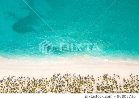Bounty and pristine sandy shore with coconut palm trees, caribbean sea washes tropical coast. Arenda Gorda beach. Dominican Republic. Aerial top view 90805736
