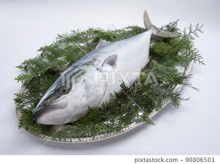 天氣寒冷 90806501