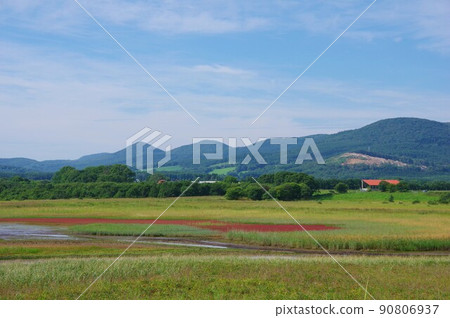北海道紋別市小穆湖珊瑚群 90806937